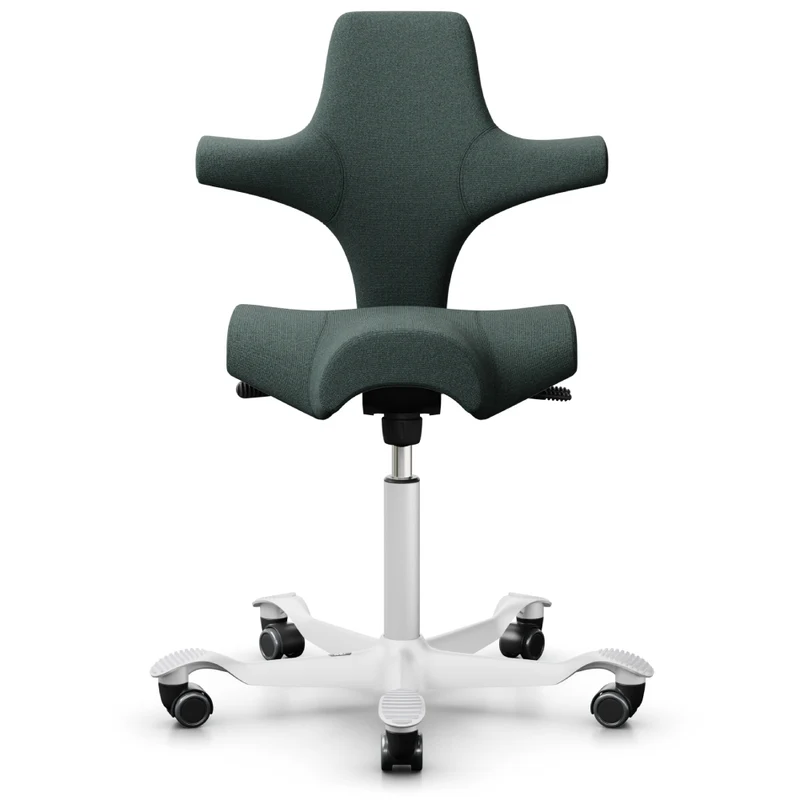 HÅG Capisco Saddle Chair 8106
