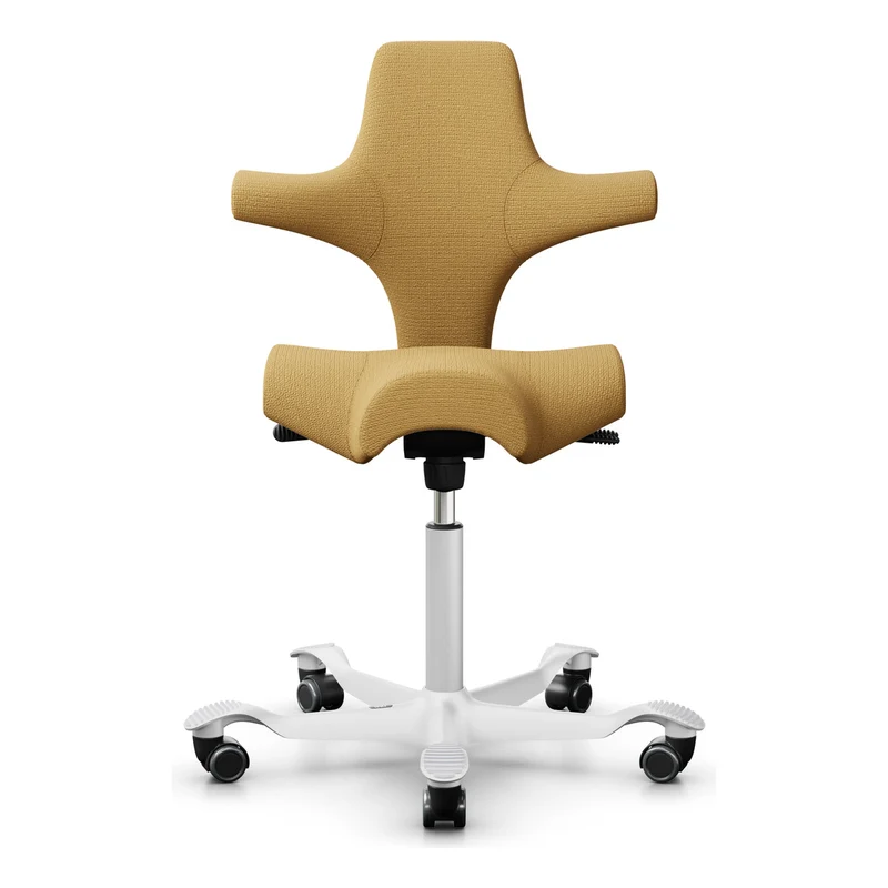 HÅG Capisco Saddle Chair 8106