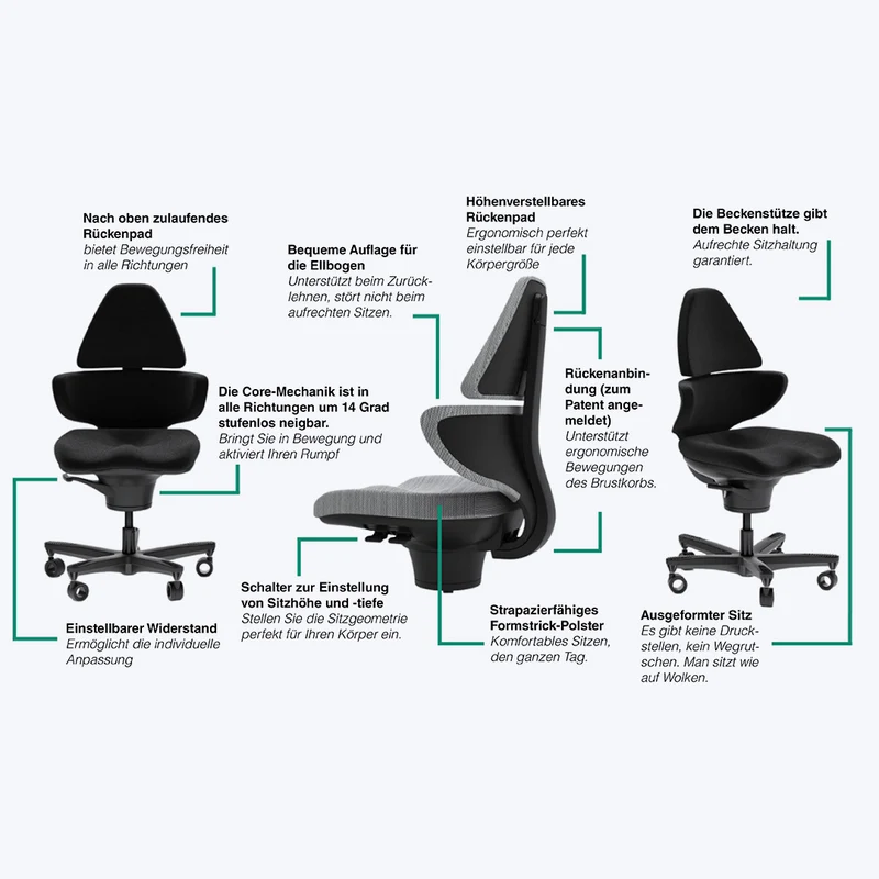 Core Chair Elite von Viasit