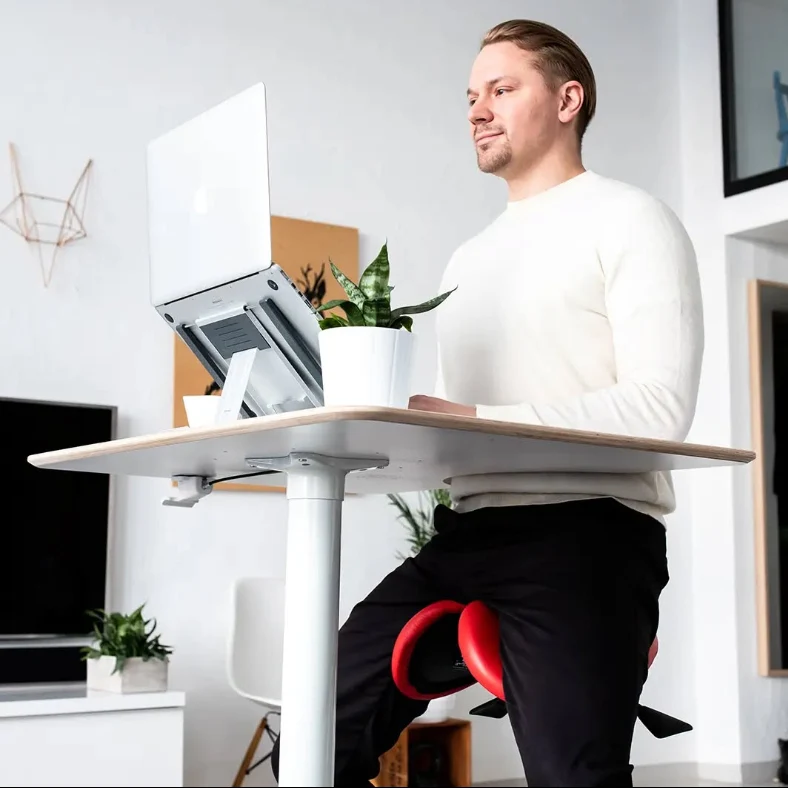 Salli Work Desk