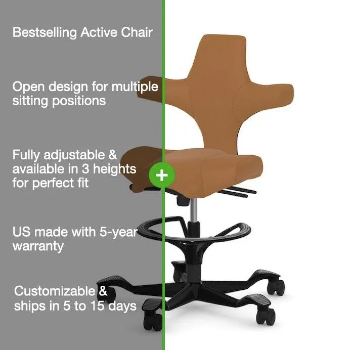 Capisco Saddle