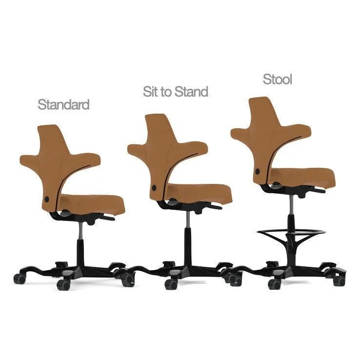 Capisco Saddle