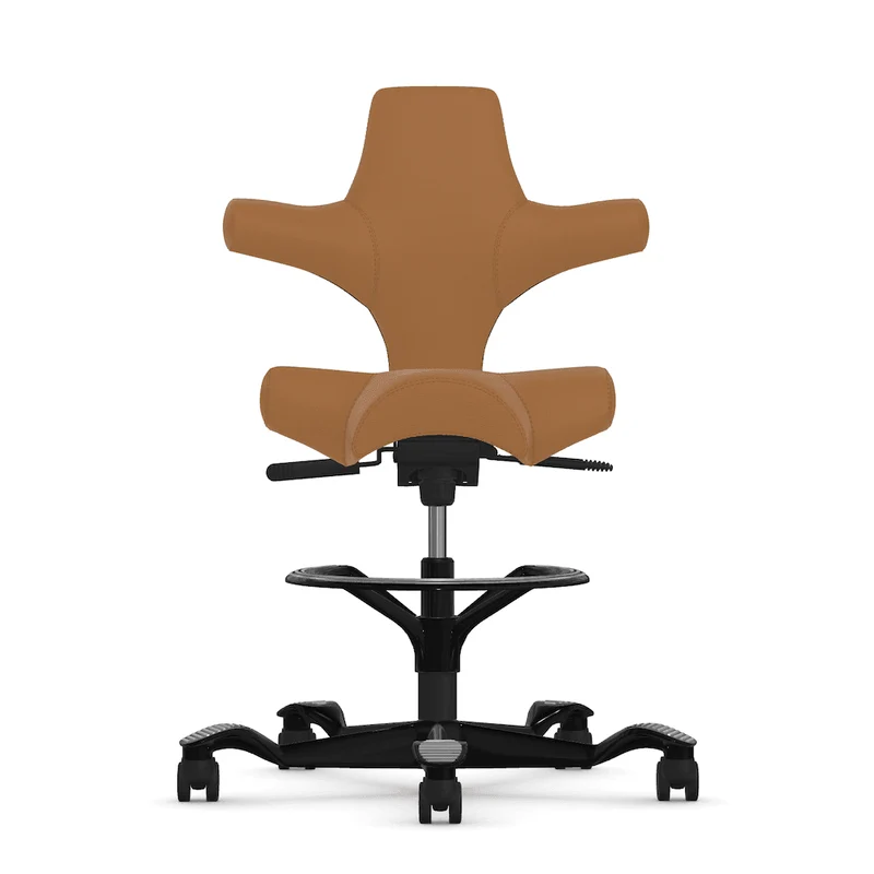 Capisco Saddle