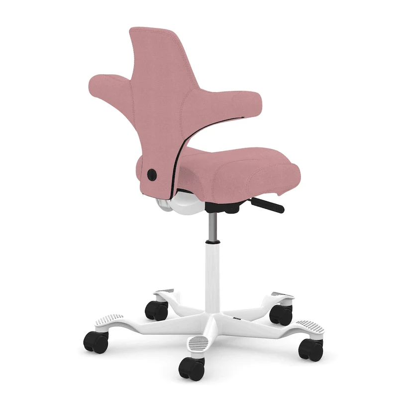 Capisco Saddle
