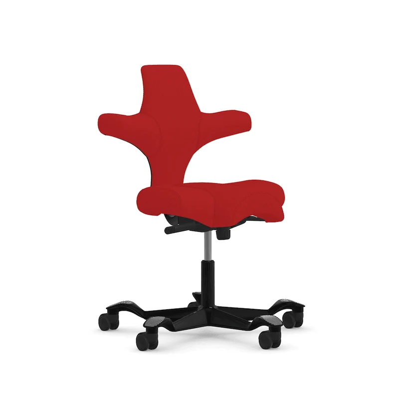 Capisco Saddle
