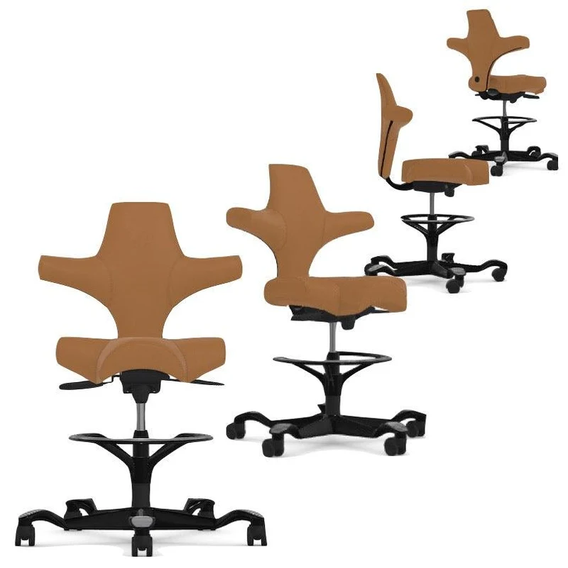 Capisco Saddle