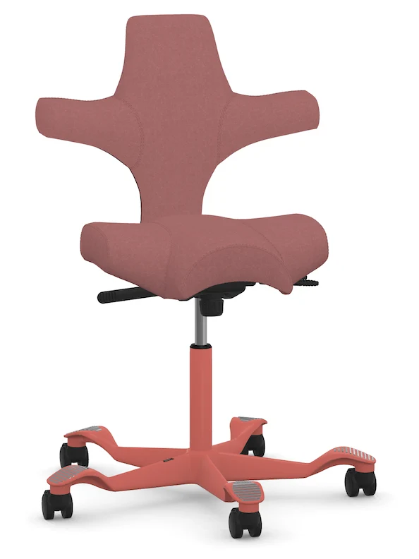 Capisco Saddle