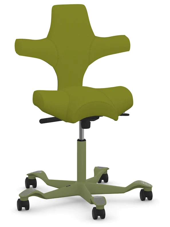Capisco Saddle