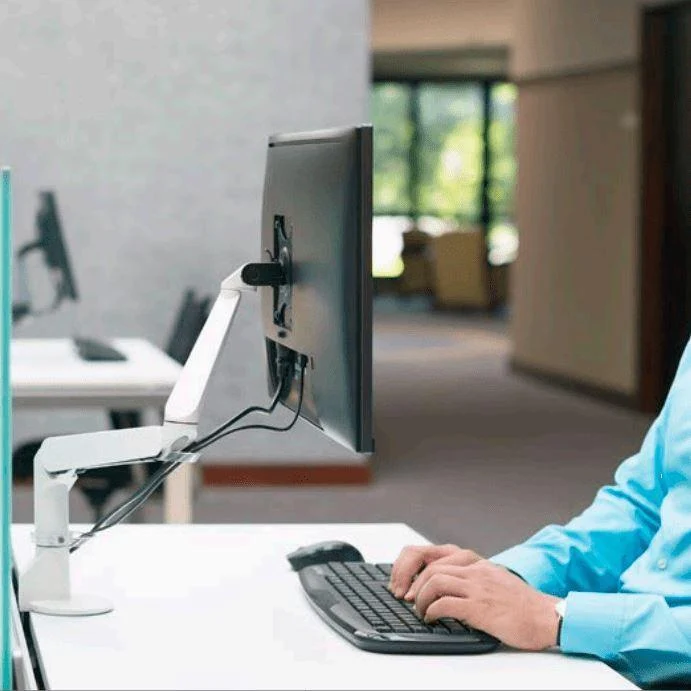 Evo Monitor Arm