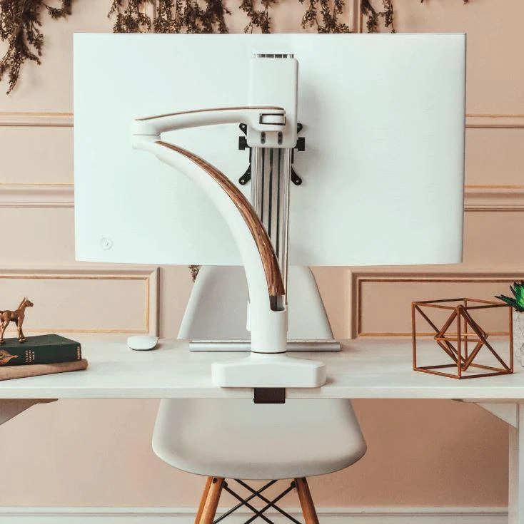 Ella Monitor Arm