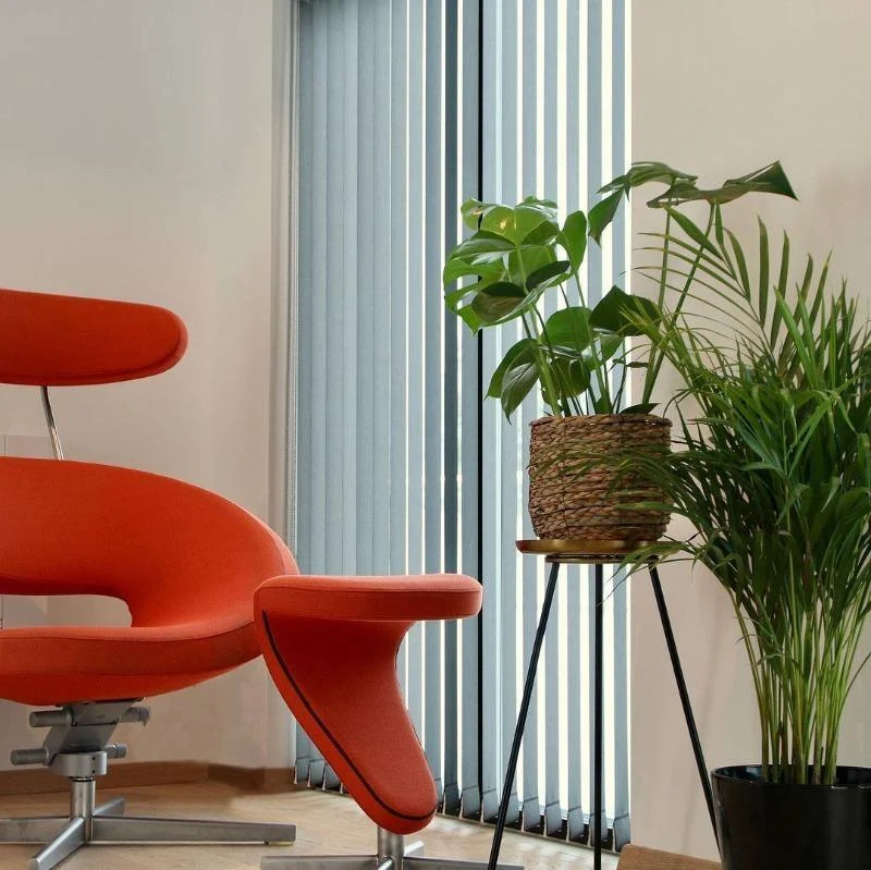 Peel Lounge Chair