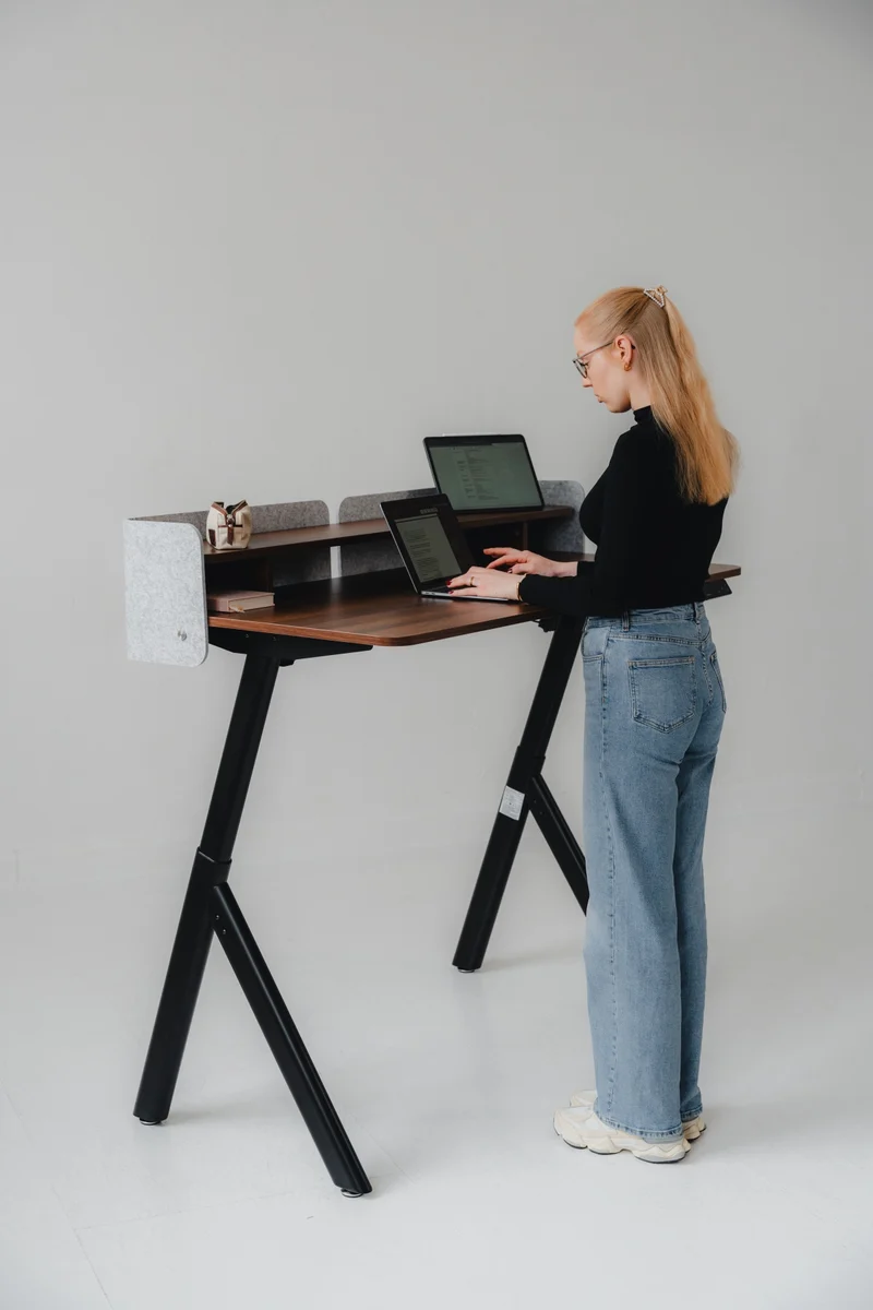 Maidesite ArborLift Elektrisch Höhenverstellbarer Schreibtisch, 120x60 / 140x70 cm, mit USB-C Anschluss