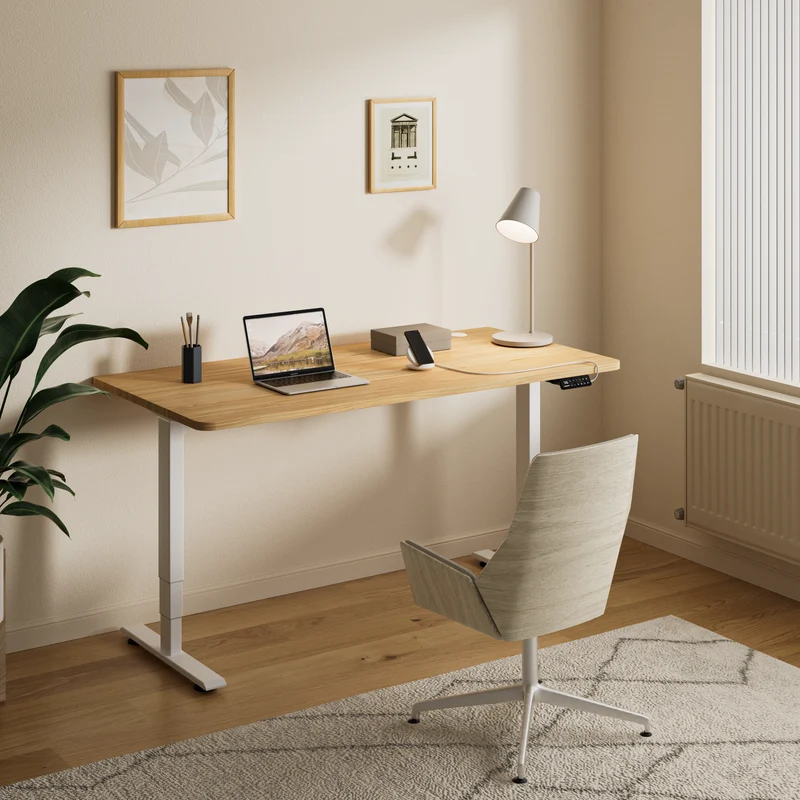 Maidesite S2 Pro Elektrisch Höhenverstellbarer Schreibtisch mit 140x70 120x60 cm tischplatte