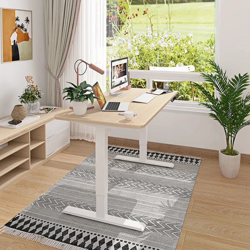 Maidesite S1 Basic - Elektrisch Höhenverstellbarer Schreibtisch 120x60 cm