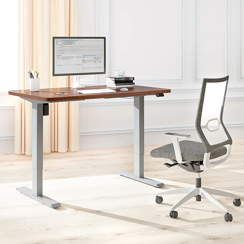 Maidesite S1 Basic - Elektrisch Höhenverstellbarer Schreibtisch 120x60 cm