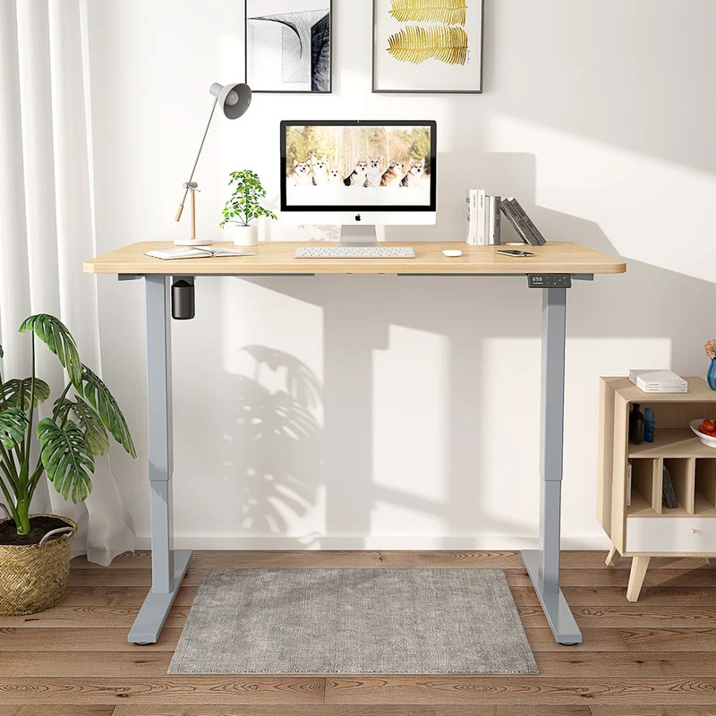 Maidesite S1 Basic - Elektrisch Höhenverstellbarer Schreibtisch 120x60 cm