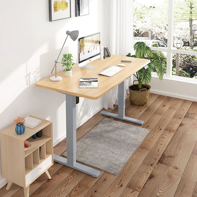Maidesite S1 Basic - Elektrisch Höhenverstellbarer Schreibtisch 120x60 cm