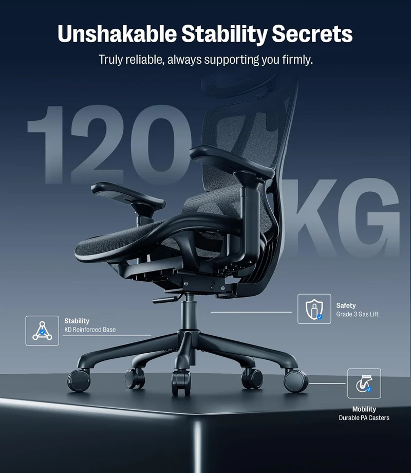 Maidesite EC5 Ergonomischer Bürostuhl mit Rückenlehne