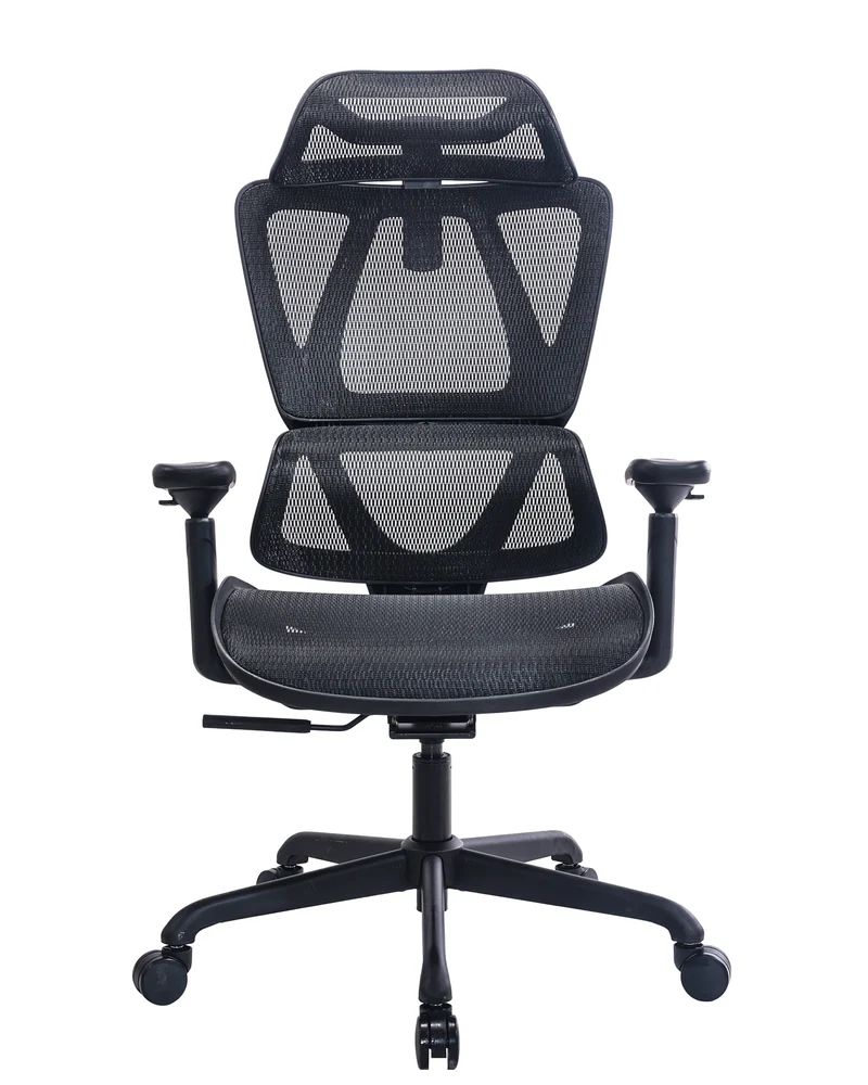Maidesite EC5 Ergonomischer Bürostuhl mit Rückenlehne