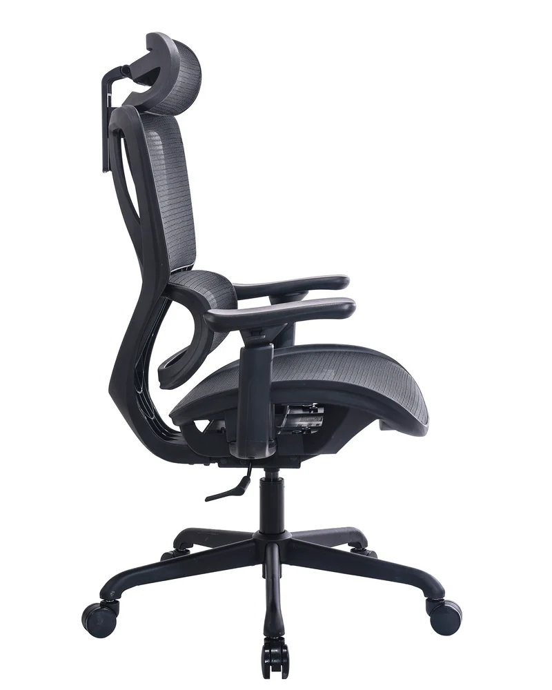 Maidesite EC5 Ergonomischer Bürostuhl mit Rückenlehne