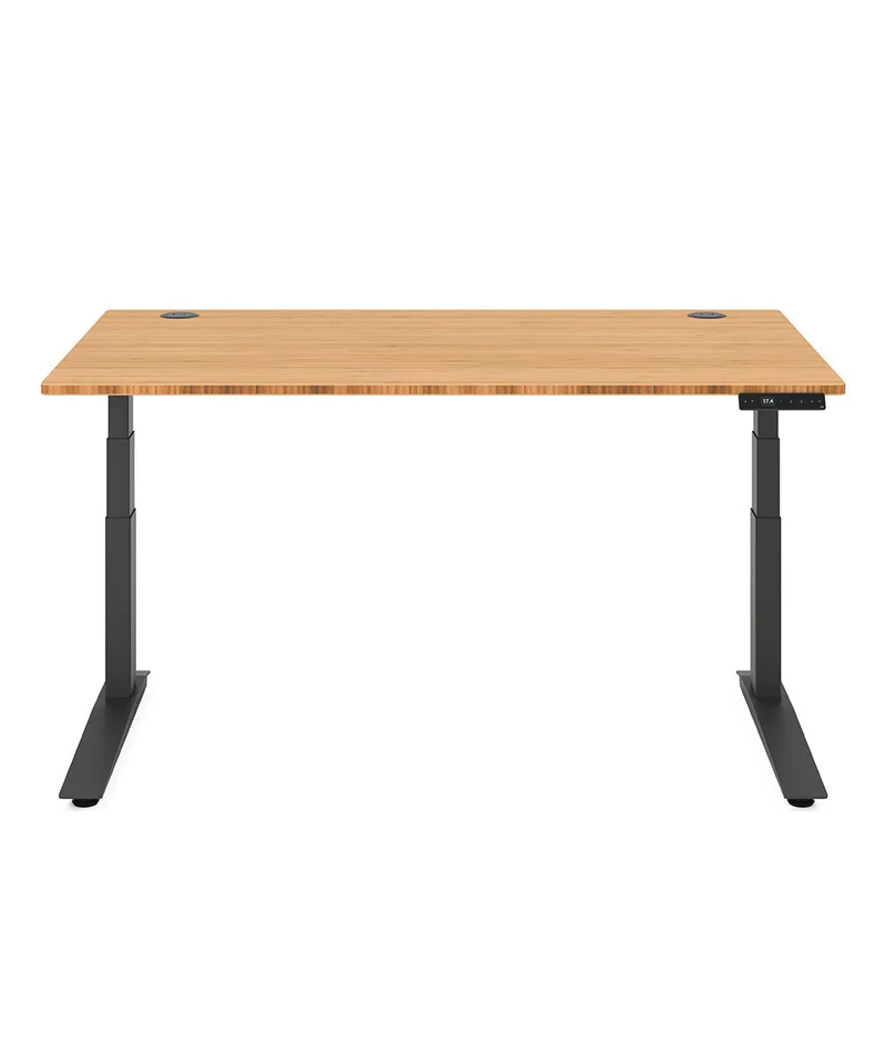 Fully Jarvis Bambus-Stehschreibtisch* 1600 x 800