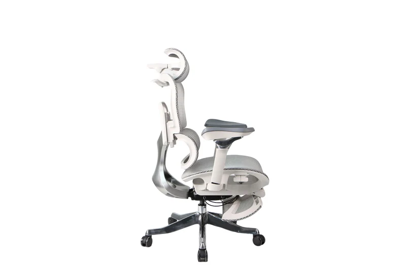 Toai E1Pro Ergonomic Chair
