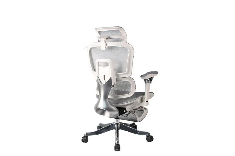 Toai E1Pro Ergonomic Chair