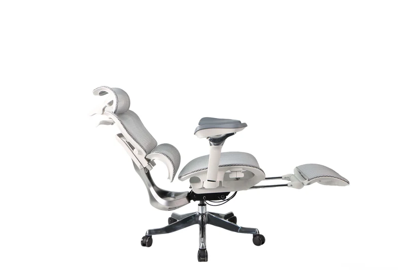 Toai E1Pro Ergonomic Chair