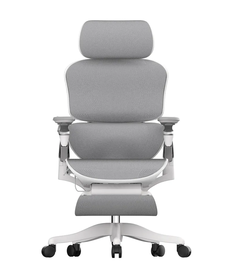 Toai E5 Massage Ergonomic Chair
