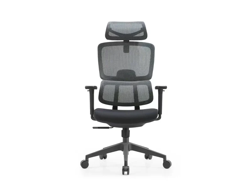 Szeeo Ergonomic Office Chair-186M (Cushion)