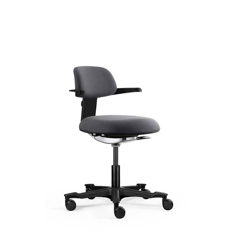Ergostandi Ergonomic Chair - COOC