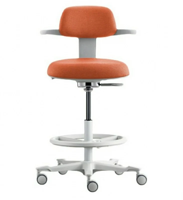 Ergostandi Ergonomic Chair - COOC