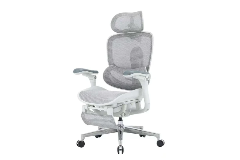 Sihoo Doro C300 Pro ultra Executive Ergonomic Office Mesh Chair