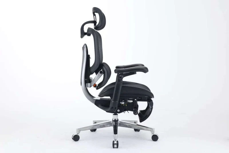 Sihoo Doro C300 Pro ultra Executive Ergonomic Office Mesh Chair