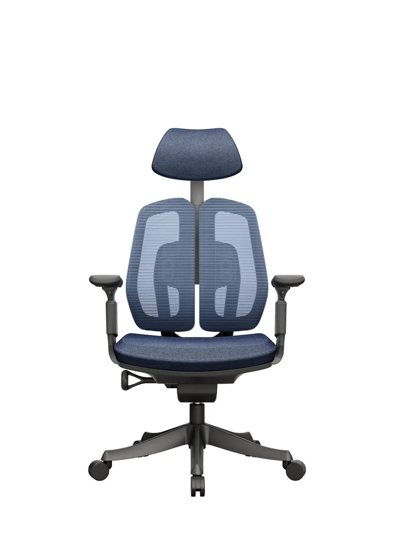 Protectwo Double Back Ergonomic Office Chair -TL92W/B