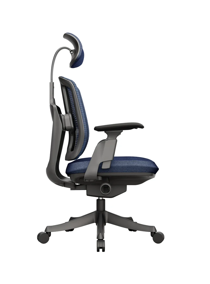 Protectwo Double Back Ergonomic Office Chair -TL92W/B