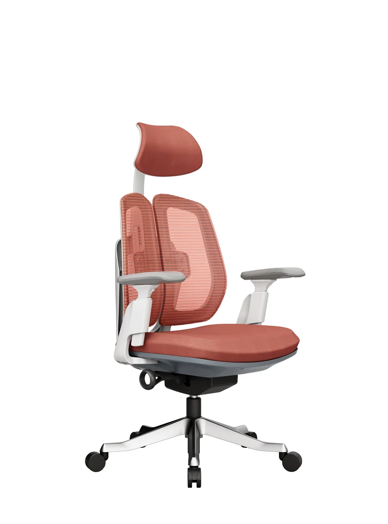 Protectwo Double Back Ergonomic Office Chair -TL92W/B