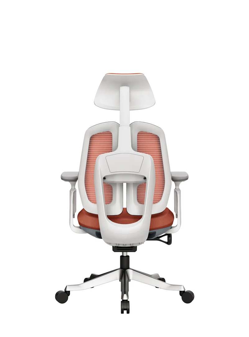 Protectwo Double Back Ergonomic Office Chair -TL92W/B