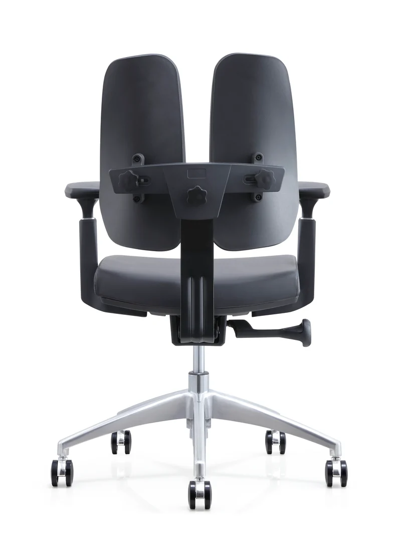 Protectwo Double Back Ergonomic Office Chair -PT02B
