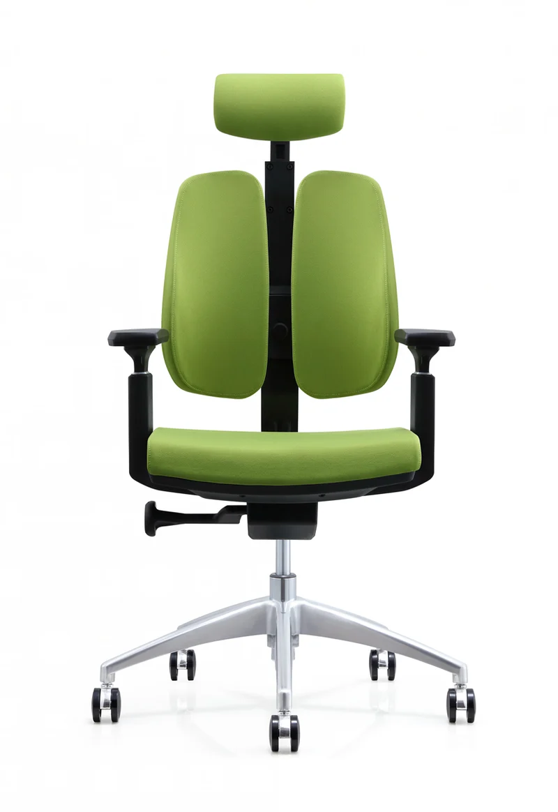 Protectwo Double Back Ergonomic Office Chair -PT02A
