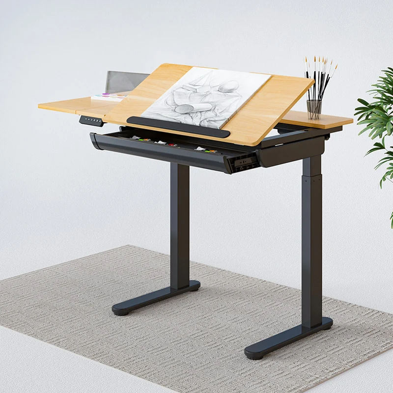 FlexiSpot Standing Desk ET120 (Single Motor)