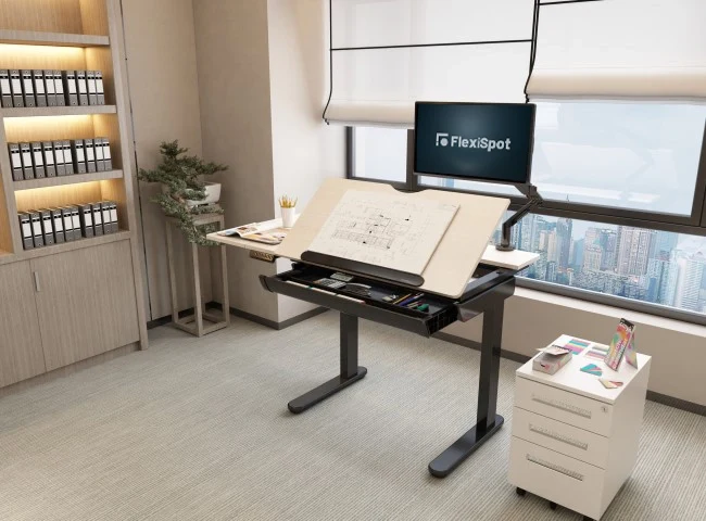 FlexiSpot Standing Desk ET120 (Single Motor)
