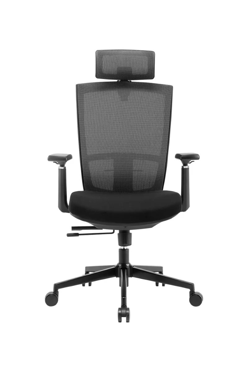 Vegosi Ergonomic Office Chair k99