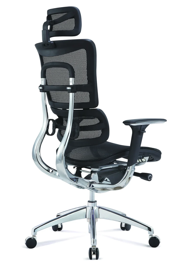 Szeeo Ergonomic Office Chair EI01