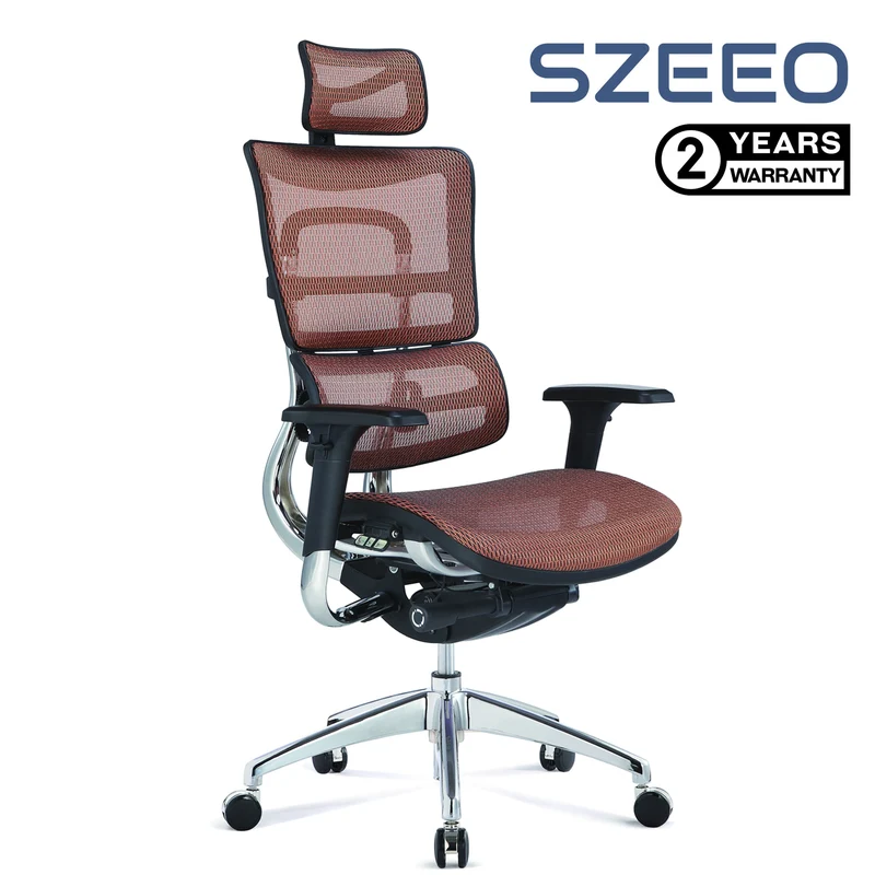 Szeeo Ergonomic Office Chair EI02