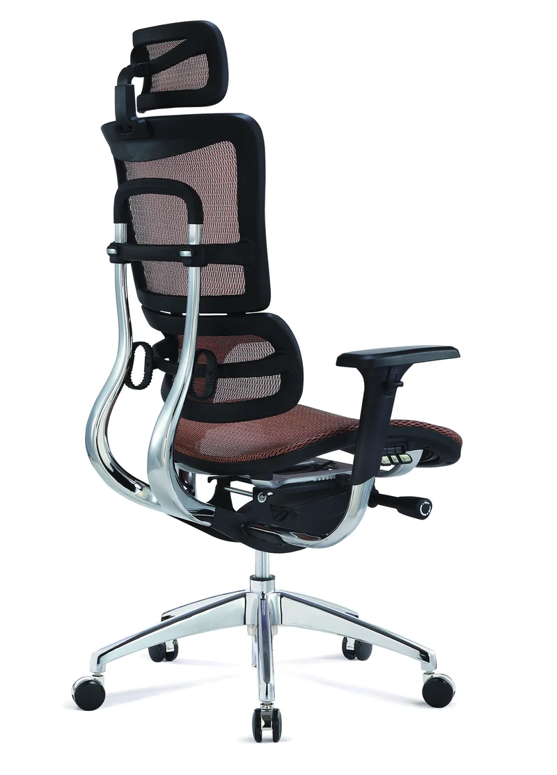Szeeo Ergonomic Office Chair EI02