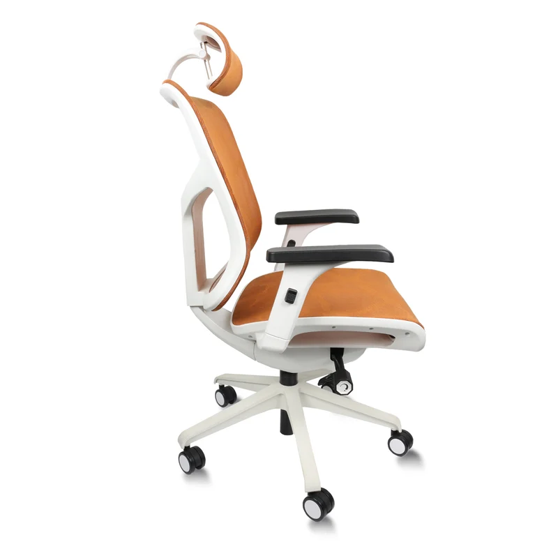 Vegosi Vista Ergonomic Office Chair
