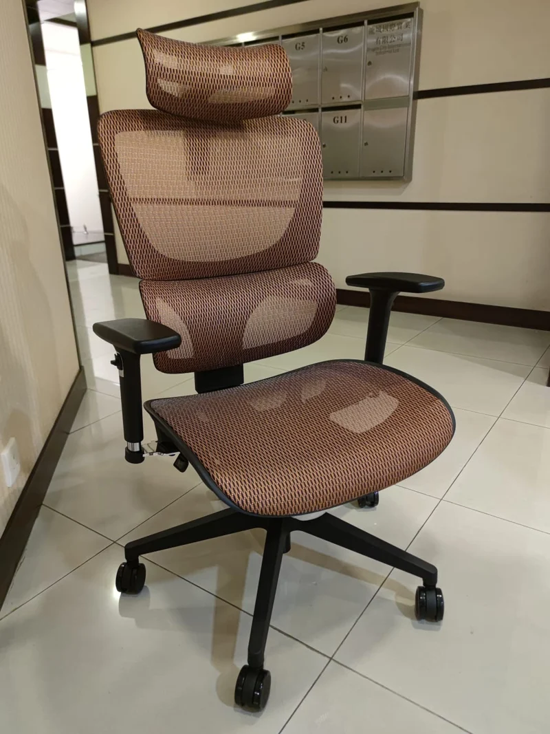 Szeeo Ergonomic Office Chair ON01