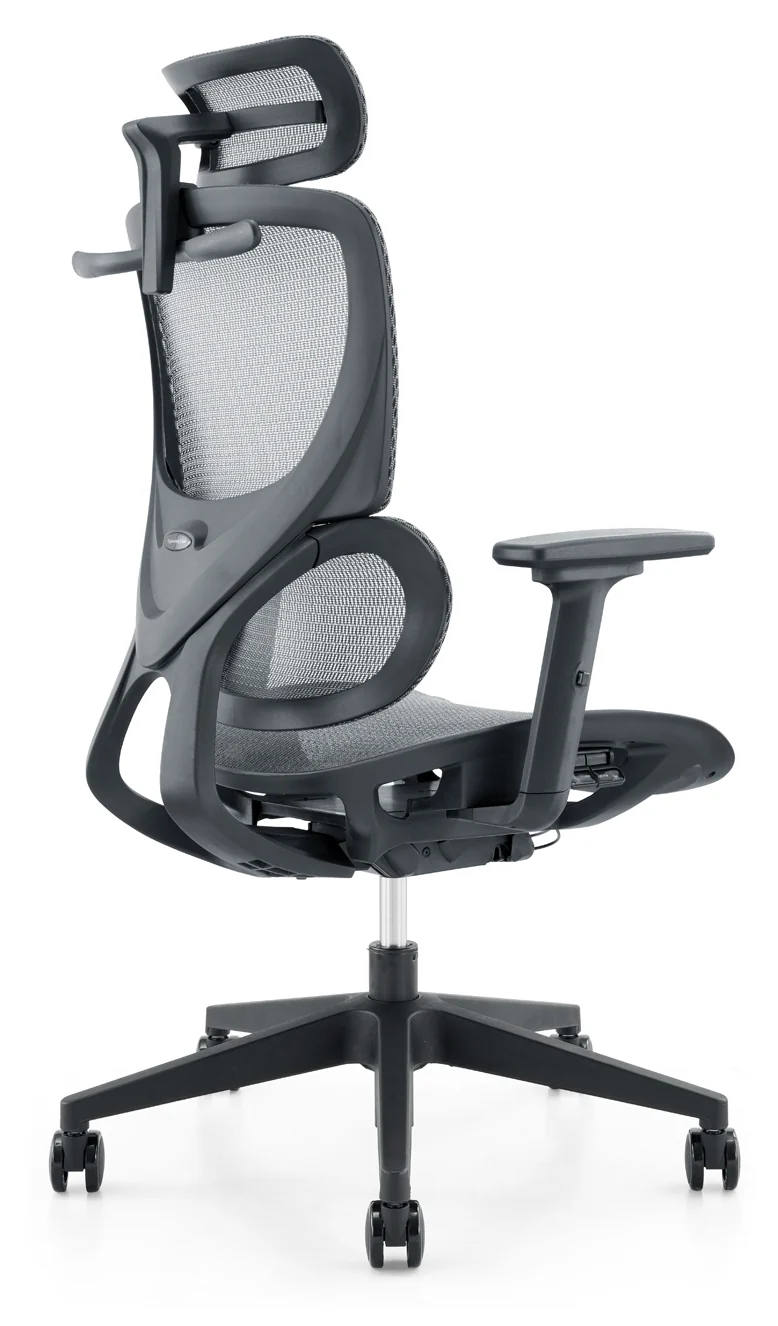 Szeeo Ergonomic Office Chair ON02