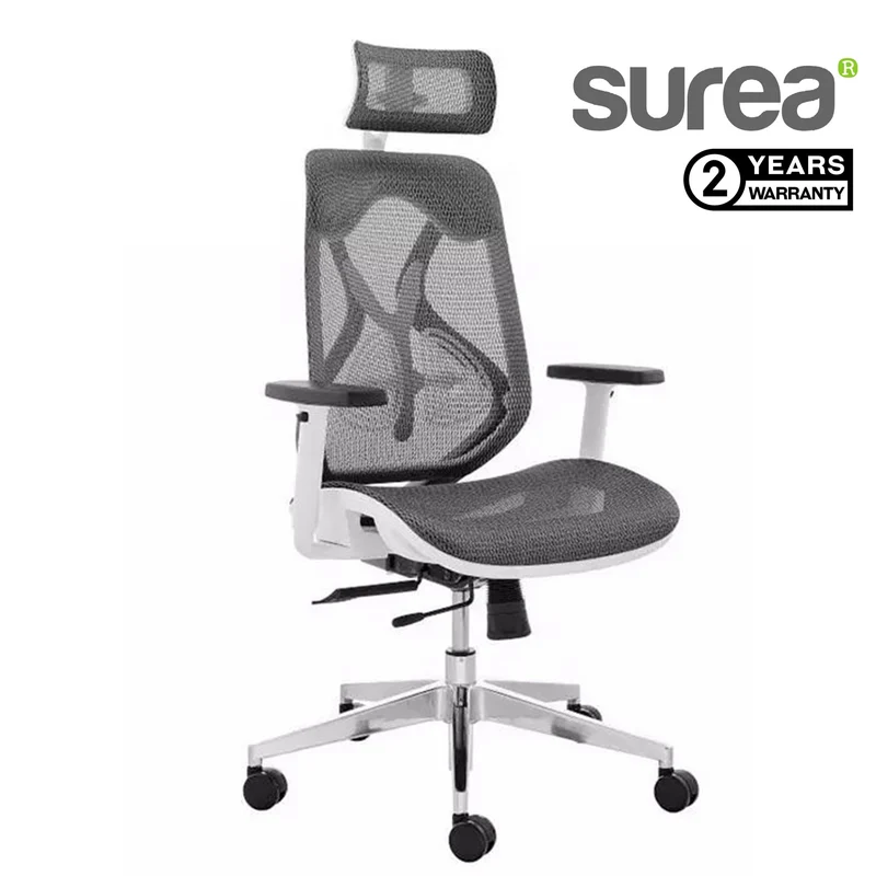 Surear Ergonomic Office chair Teleyx